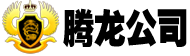 腾龙公司
